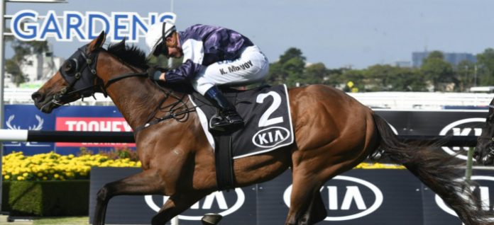 tancred-stakes-racing Group 1 Tancred Stakes preview