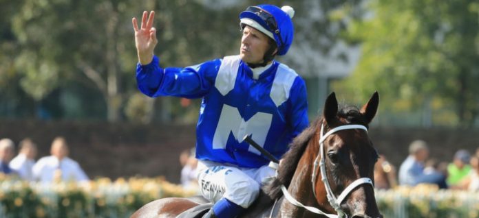 winx Winx The Autumn Sun