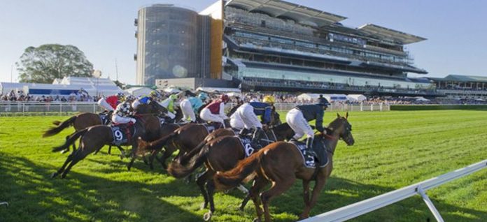 group-1-sydney-cup Group 1 Sydney Cup preview