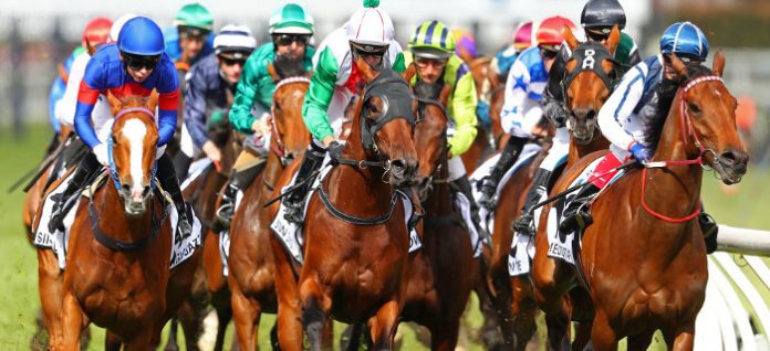 quaddie-racing punting pointers quaddies