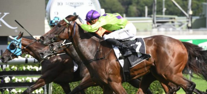 racing-doncaster-mile Group 1 Doncaster Mile preview